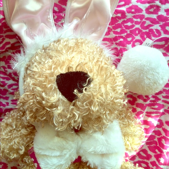 3 piece Bunny costume!