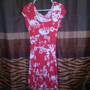 Red Spring Dress