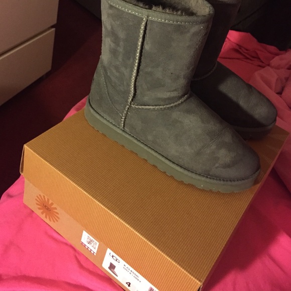 Grey Uggs