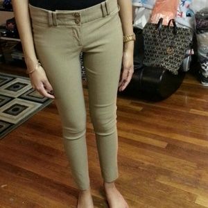 Skinny dress pant bundle