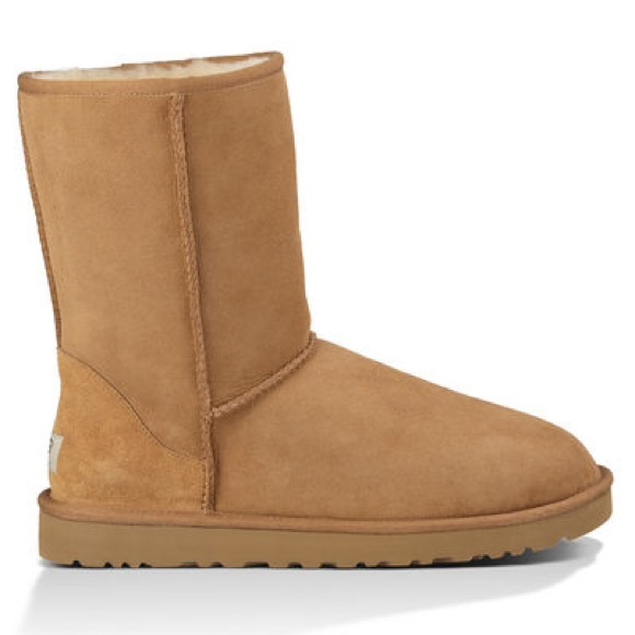 New Chestnut Short Uggs