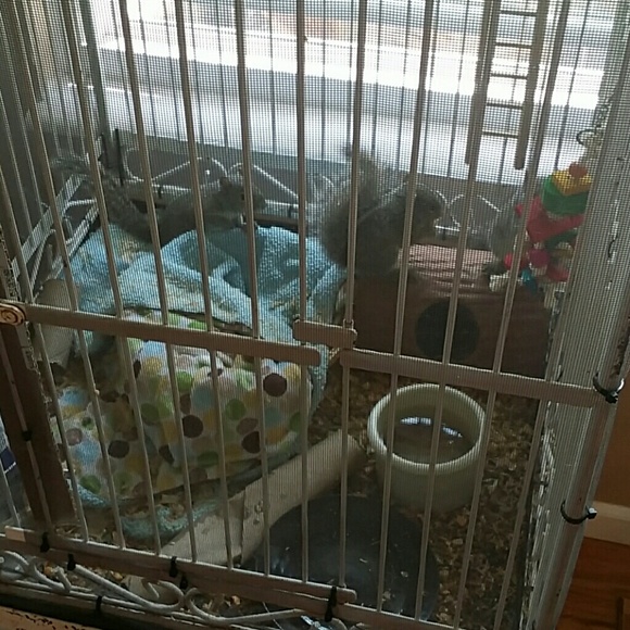 Just sharing! - Picture 2 of 4