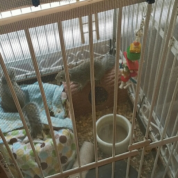 Just sharing! - Picture 3 of 4