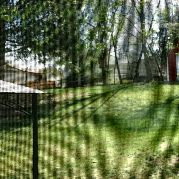 Just sharing! - Picture 4 of 4