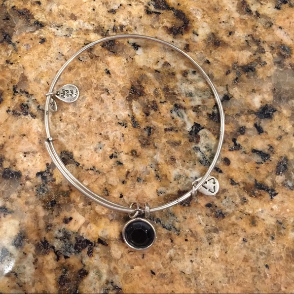 Alex and Ani Onyx Dangle