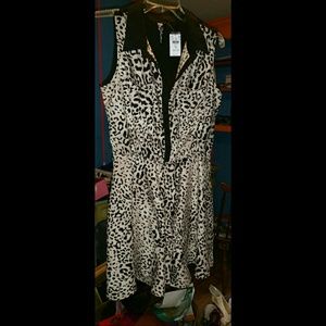 Body Central Dress