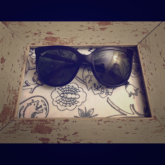 Ray Bans Cats