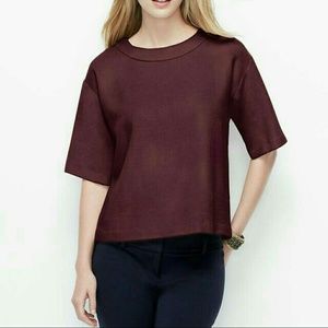 Ann taylor top