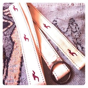 Hollister belt