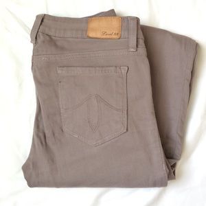 Level 99 Grey Skinny Jean