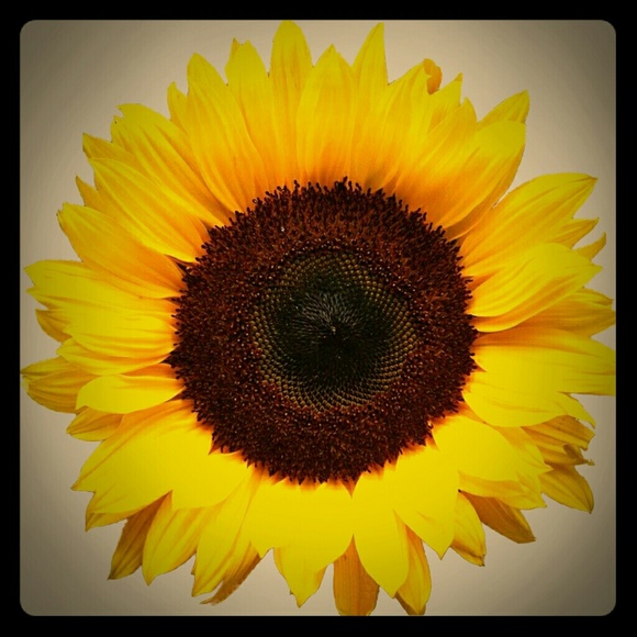 Jeans for Cheyenne.!