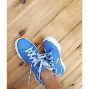 Nike Dunk Low ,Canvas blue and gold