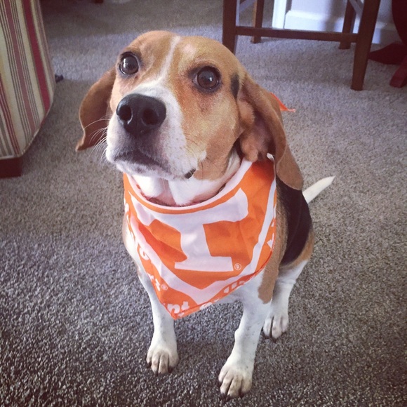 Hello from Nashville! Check out my unique closet🎉 - Picture 3 of 4