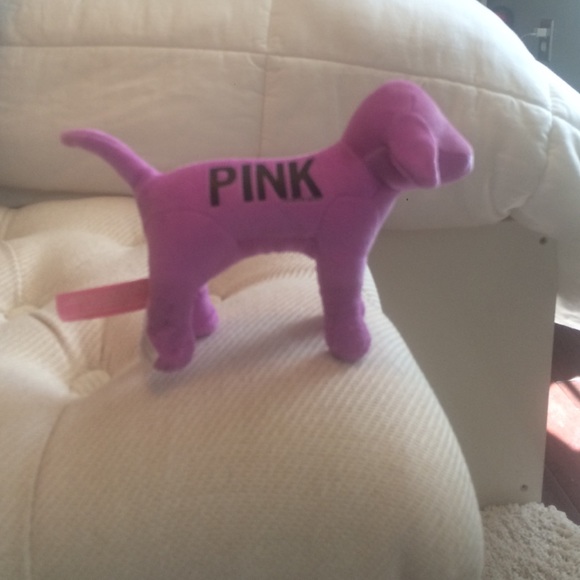 VS dog