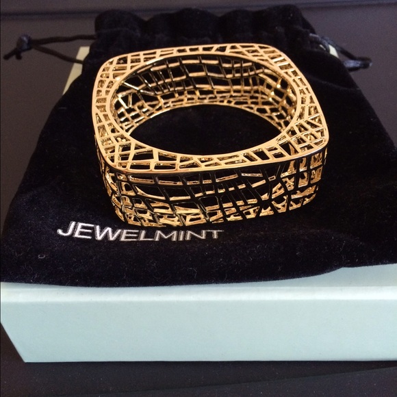 Jewelmint bird cage bangle