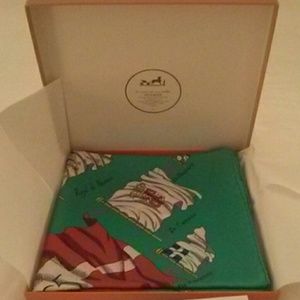 Hermes scarf