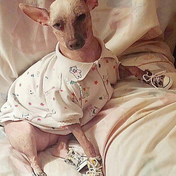 Possum in her new sneakers!