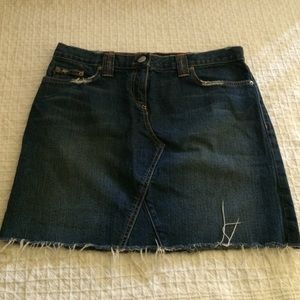 J. Crew skirt (32) denim