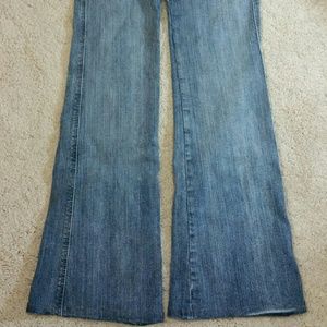 jcpenney flare pants