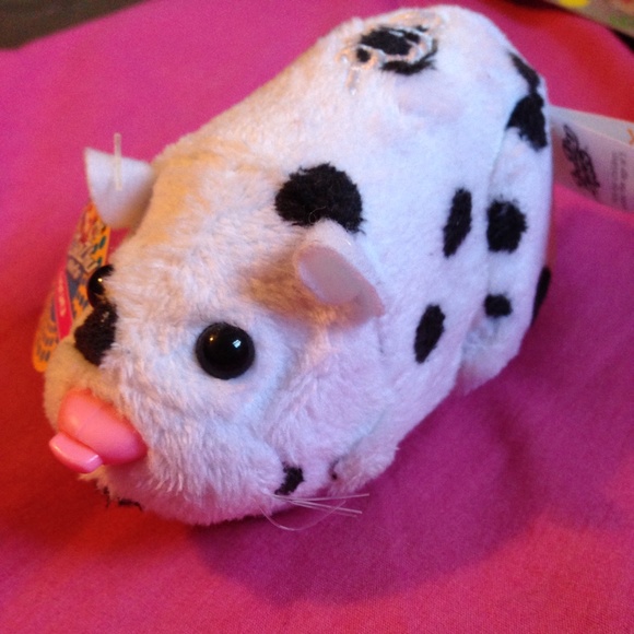 🐹❤ zhu zhu pet❤🐹