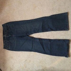 8 petite curvy bootcut Ann Taylor Loft jeans