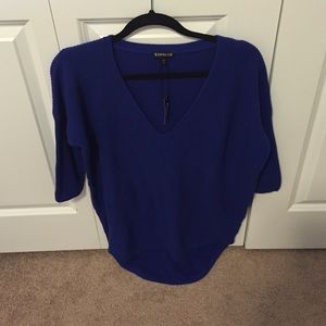 Express V neck blue sweater - size Small