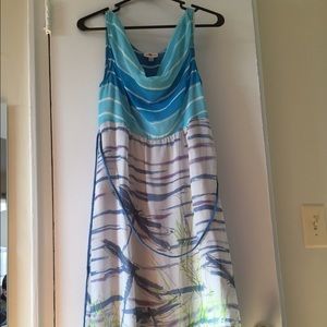 Anthropologie dragonfly dress