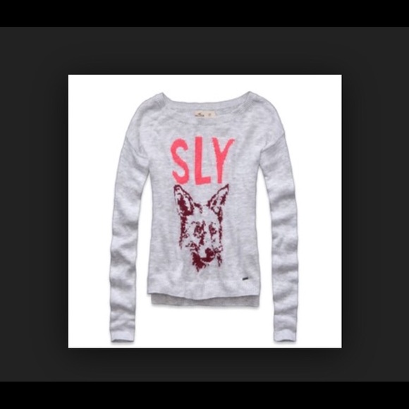 Hollister Sly Sweater