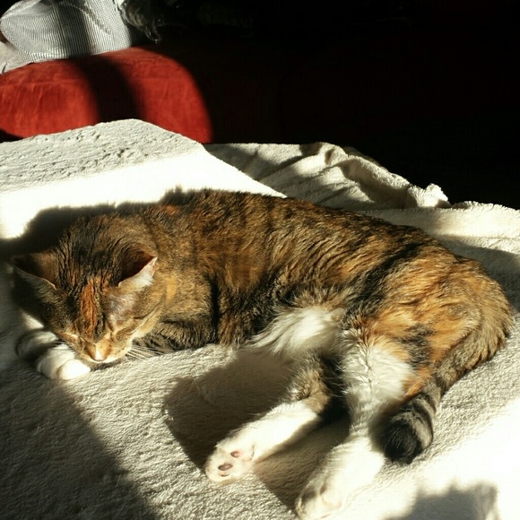Meet the Princess!! - Picture 2 of 2