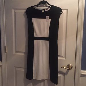 Ann Taylor Loft black and white dress