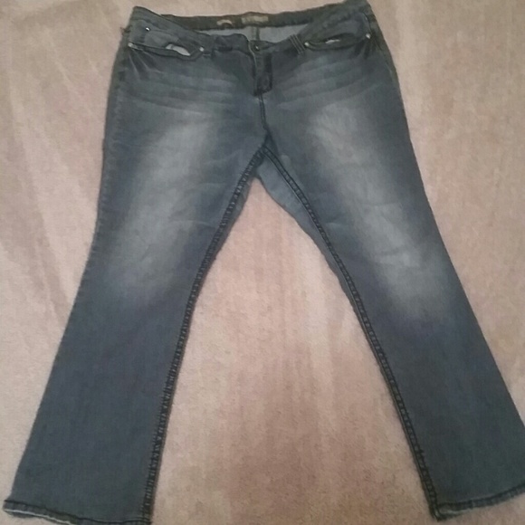 YMI Denim - YMI jeans