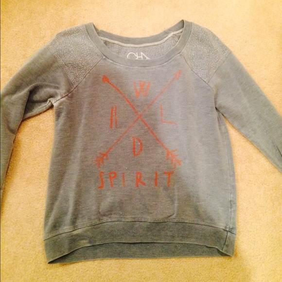 Wild Spirit Chaser Sweatshirt
