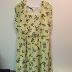 Printed Sheer Dress w/ Slip Dress