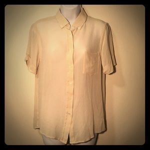 Sheer Silk Blouse