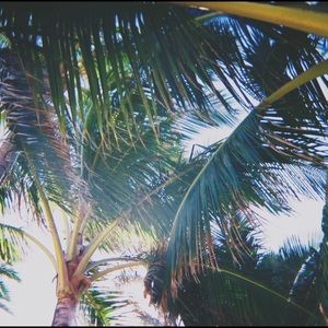 BUNDLE TO GET 20% OFF