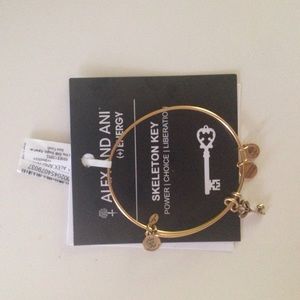 Alex and Ani Bracelet