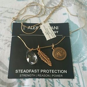 Alex and ani steadfast protection necklace