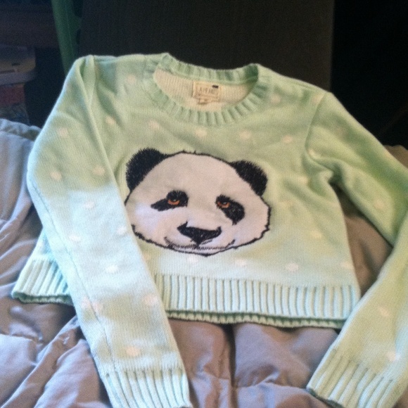 Cropped mint green panda sweater.