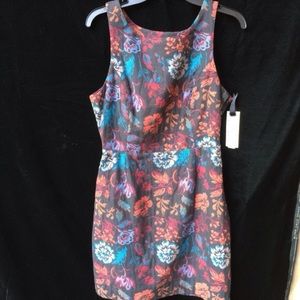 *Not for Sale* NWT BB Dakota Dress