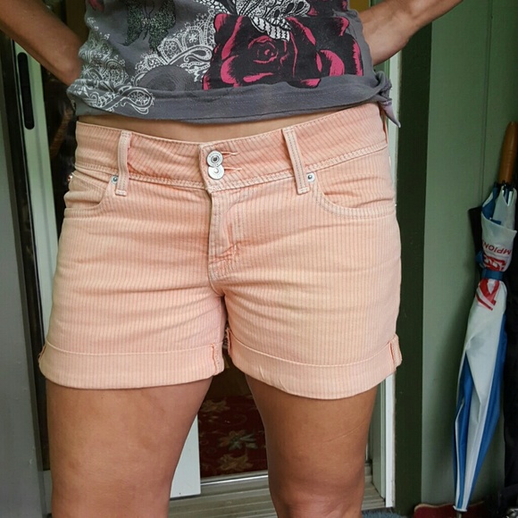 Hudson shorts