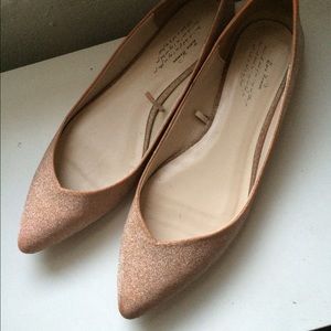 Zara Ballerina Flats with Crystals