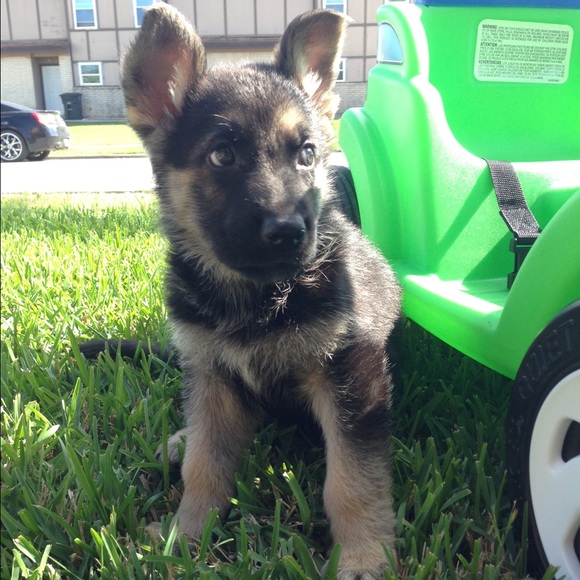 Bundle for @shoesdiva