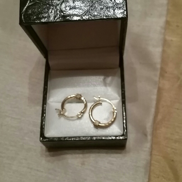 Earrings 14kt