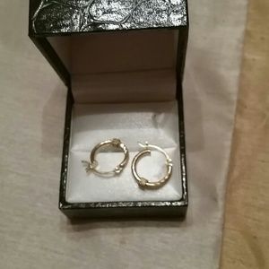Earrings 14kt
