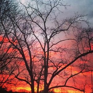 Meet your seller/ buyer!!