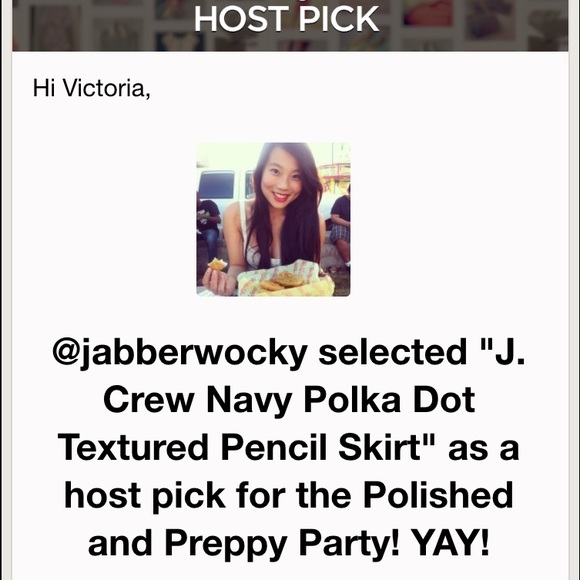 🚫 SOLD J. Crew Navy Polka Dot Textured Pencil - Picture 4 of 4