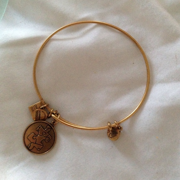 A & ANI AUTISM BANGLE