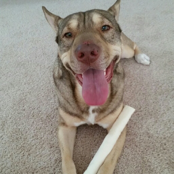 Meet your Seller! (skip) - Picture 2 of 3