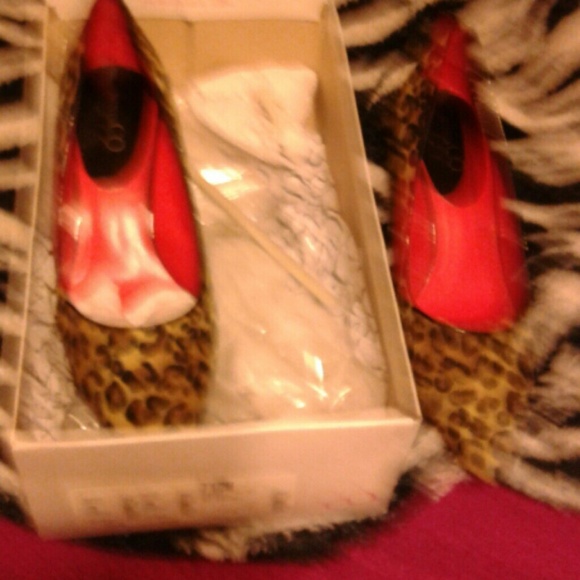 Leopard pumps brand new from 9 & co