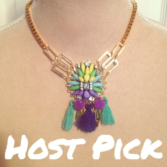 Jewelry - NWT, Colorful Statement Tassel Choker/Necklace